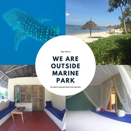 Afro Whale Shark Safari Bed & Breakfast Kilindoni Exterior photo