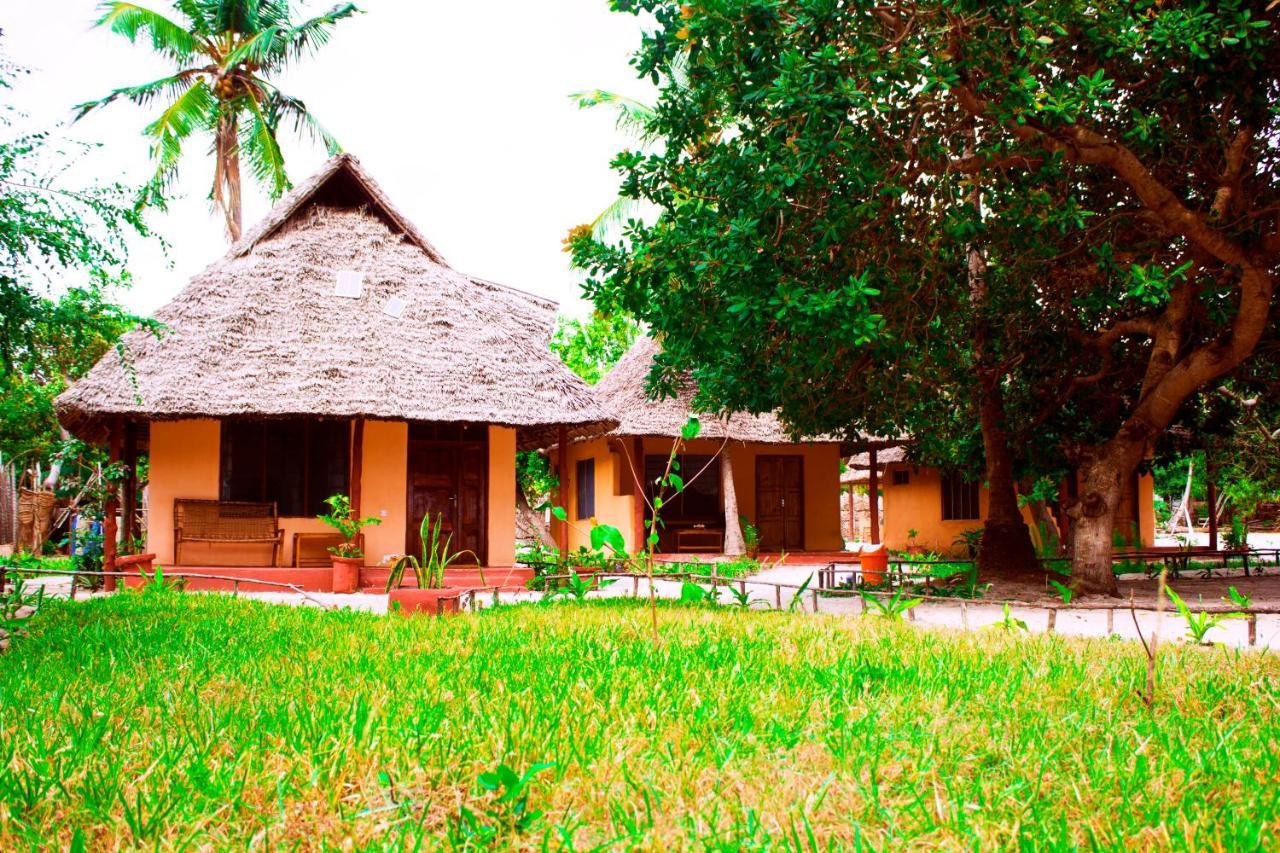 Afro Whale Shark Safari Bed & Breakfast Kilindoni Exterior photo