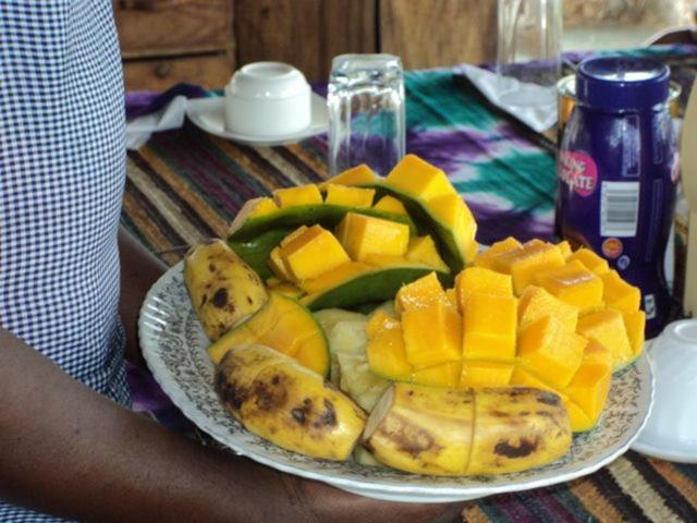 Afro Whale Shark Safari Bed & Breakfast Kilindoni Exterior photo