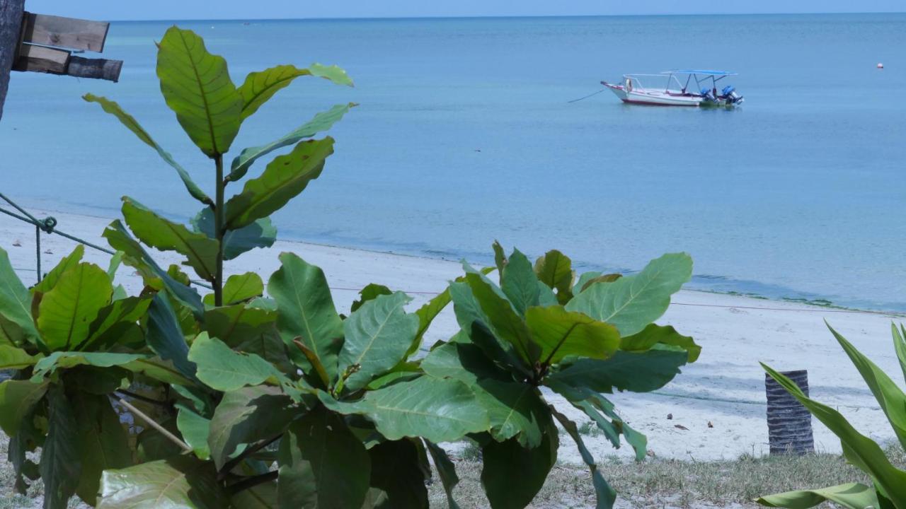 Afro Whale Shark Safari Bed & Breakfast Kilindoni Exterior photo