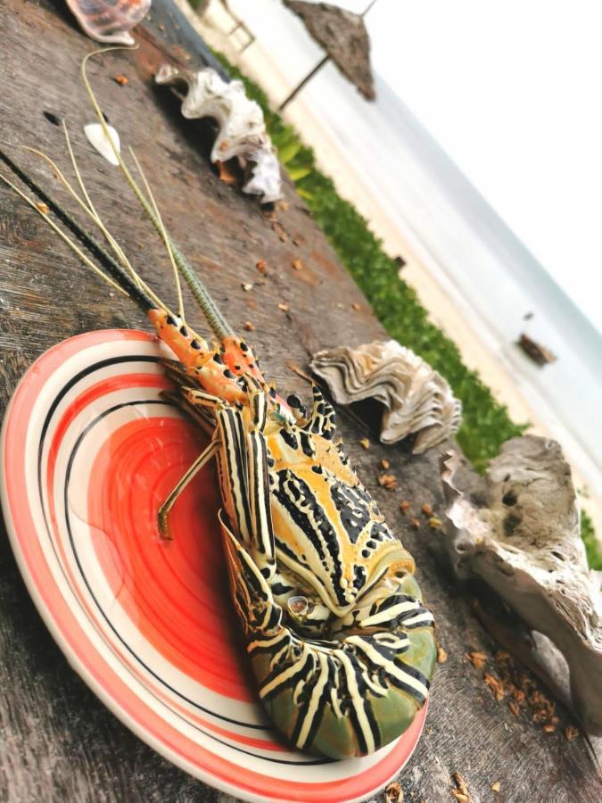 Afro Whale Shark Safari Bed & Breakfast Kilindoni Exterior photo