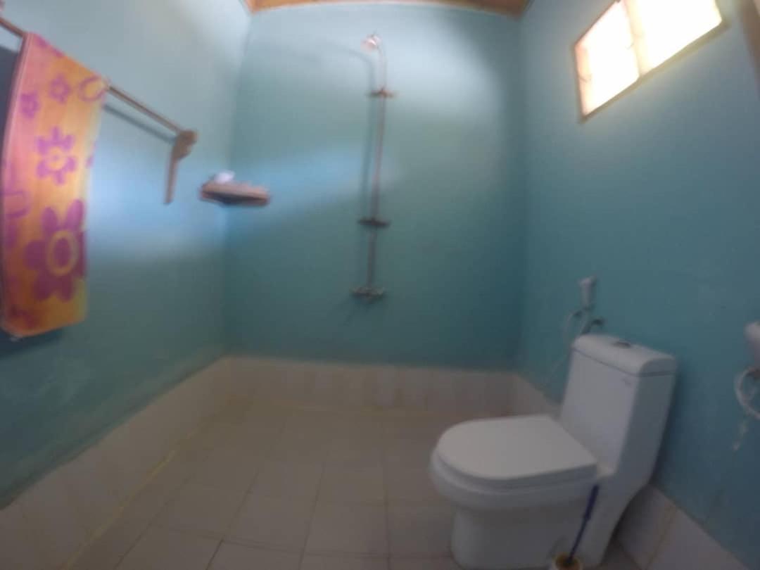 Afro Whale Shark Safari Bed & Breakfast Kilindoni Exterior photo