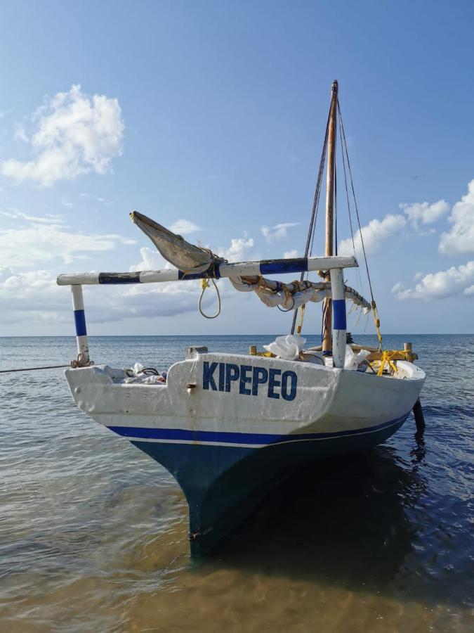 Afro Whale Shark Safari Bed & Breakfast Kilindoni Exterior photo
