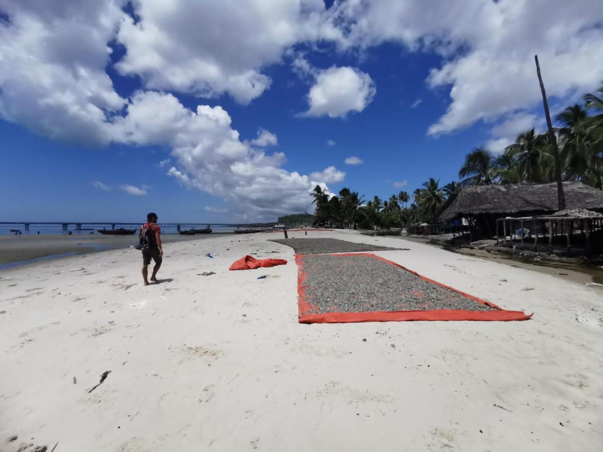 Afro Whale Shark Safari Bed & Breakfast Kilindoni Exterior photo