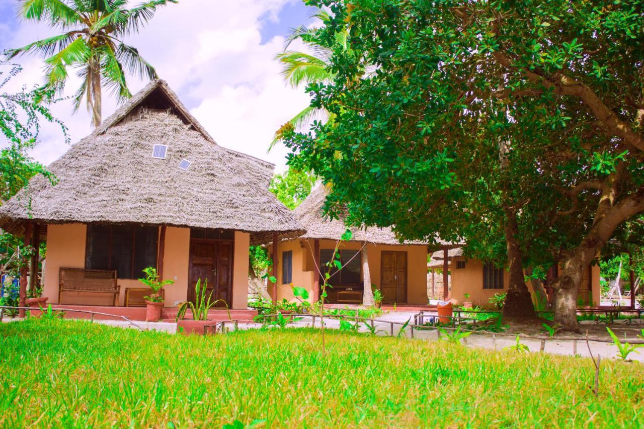 Afro Whale Shark Safari Bed & Breakfast Kilindoni Exterior photo