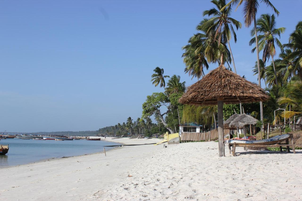 Afro Whale Shark Safari Bed & Breakfast Kilindoni Exterior photo