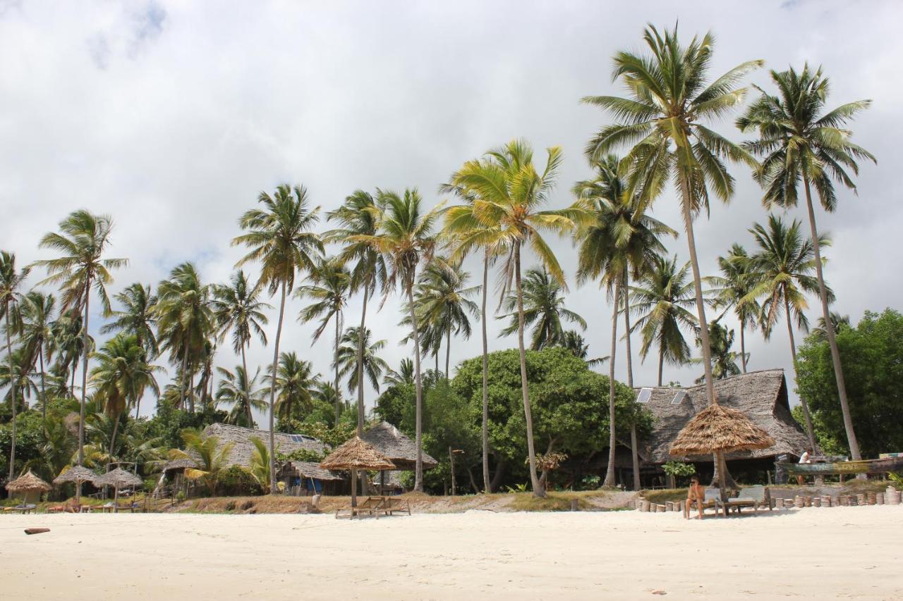 Afro Whale Shark Safari Bed & Breakfast Kilindoni Exterior photo