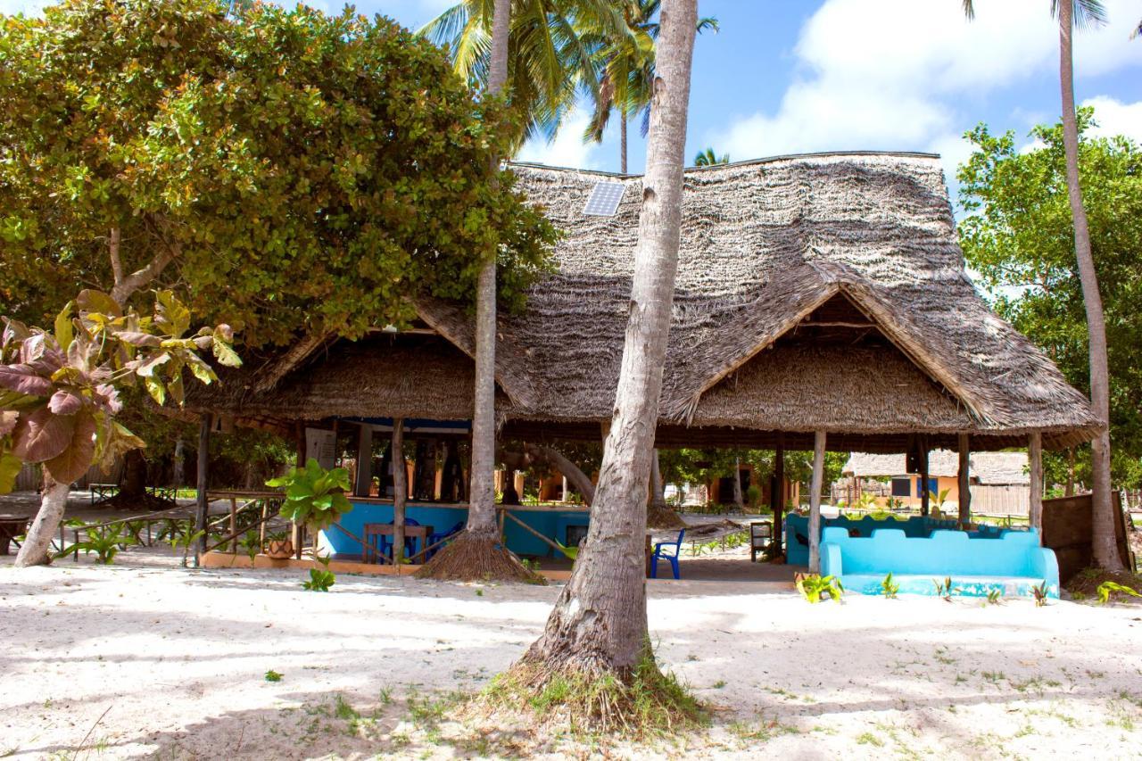 Afro Whale Shark Safari Bed & Breakfast Kilindoni Exterior photo