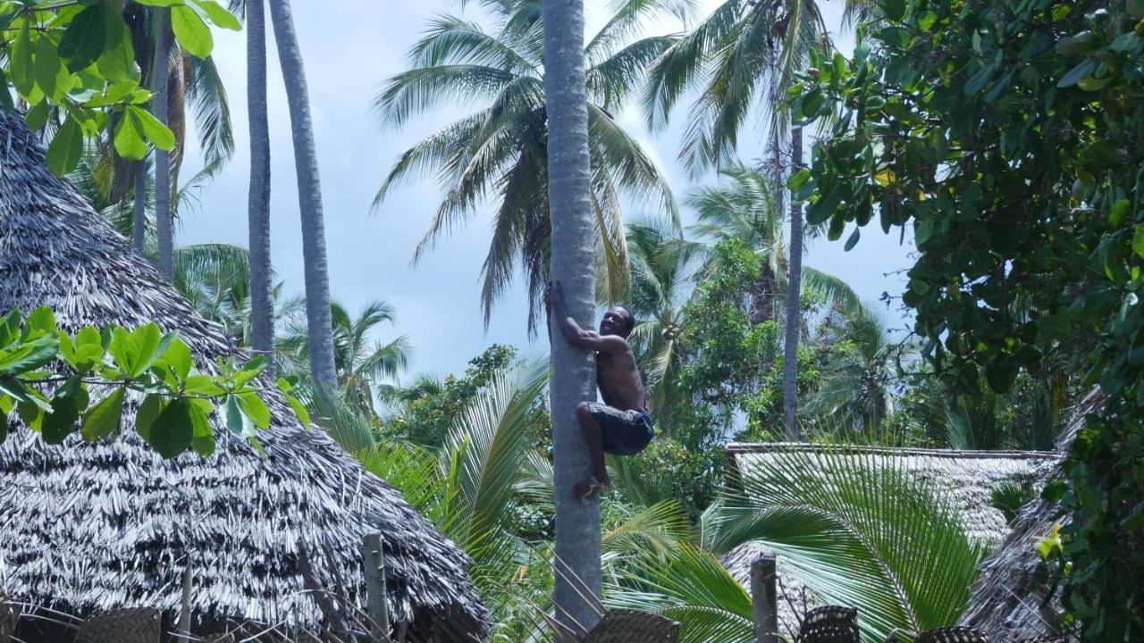 Afro Whale Shark Safari Bed & Breakfast Kilindoni Exterior photo