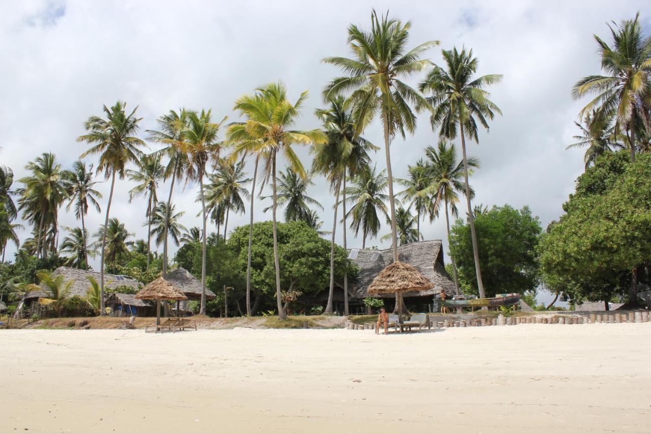 Afro Whale Shark Safari Bed & Breakfast Kilindoni Exterior photo